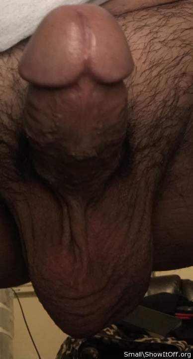 Photo of a middle leg from Small