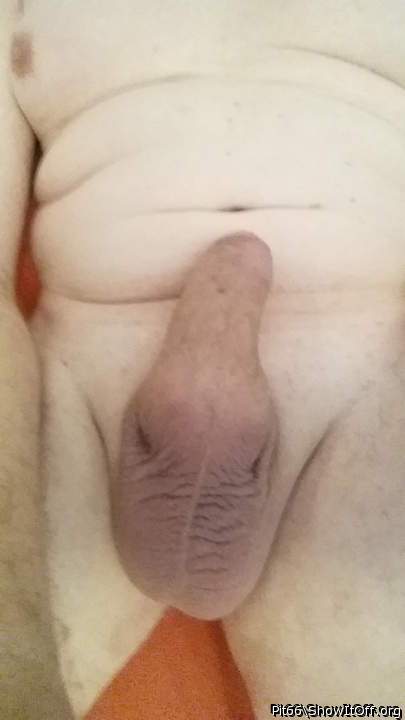 Photo of a bat from Pit66