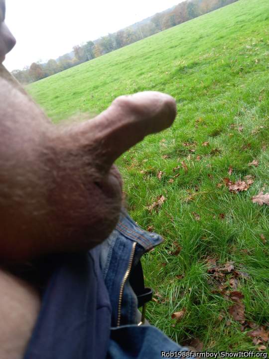 Deserves a weekly wank 