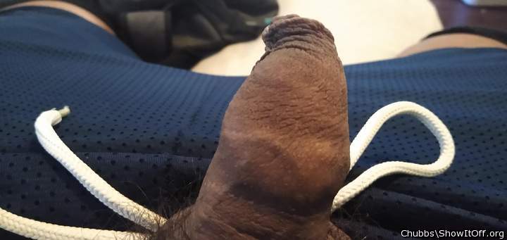 Photo of a bald-headed mouse from Chubbs