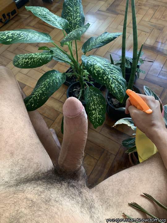 did you take care of your plants today?