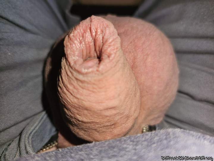 Photo of a bald-headed mouse from Stiffcock59