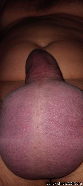Testicles Photo from sanok