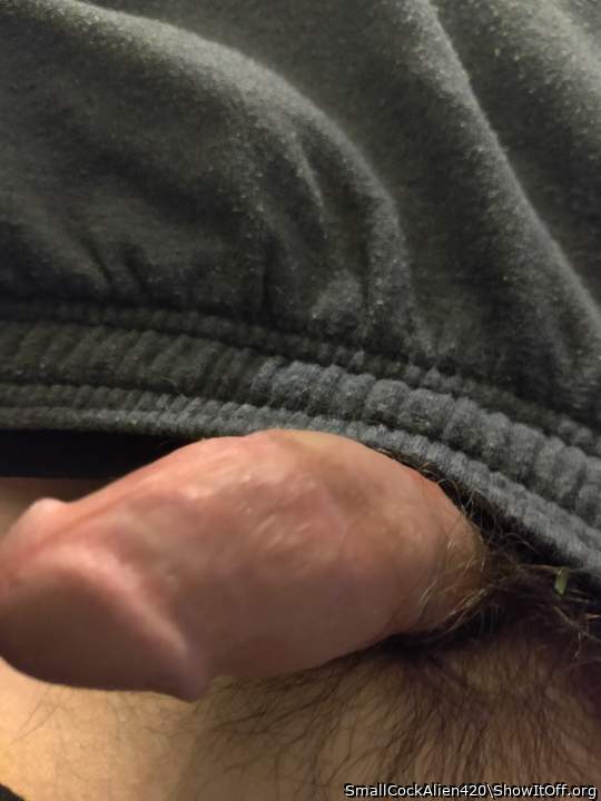 Photo of a bald-headed mouse from SmallCockAlien420