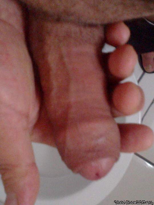 Photo of a wiener from olivio