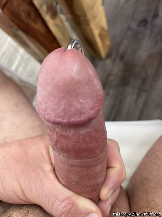 Photo of a bald-headed mouse from thisbiguy