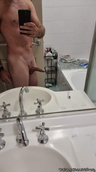Photo of a power tool from Wallaby