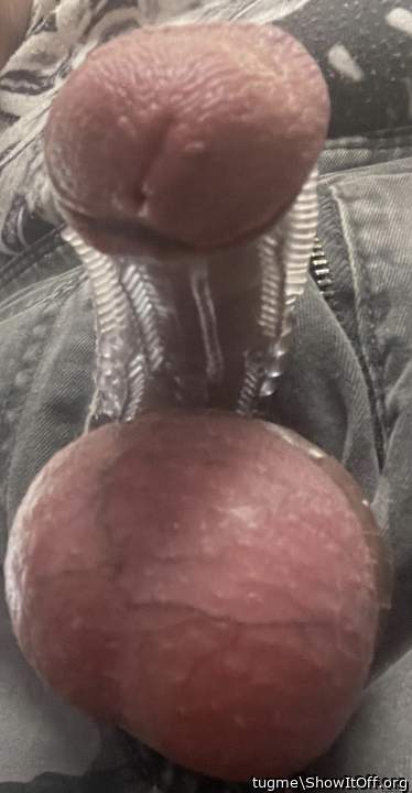 Testicles Photo from tugme