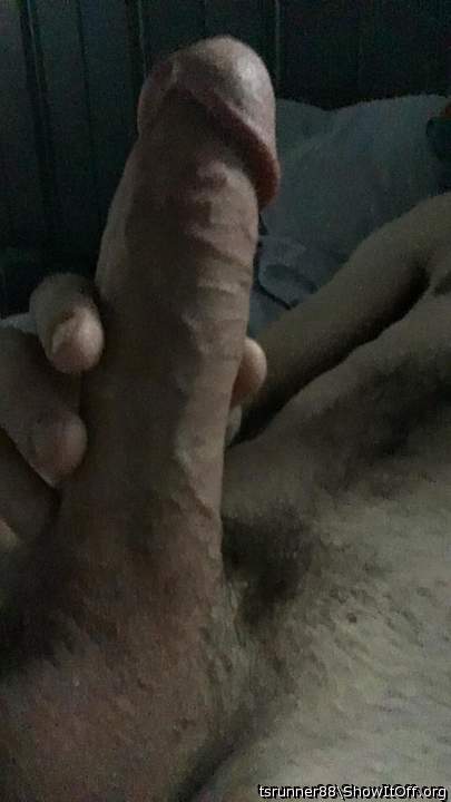 Photo of a horn from tsrunner88