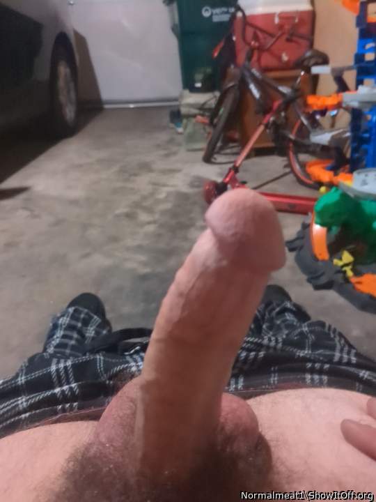 Photo of a meat stick from Normalmeat1