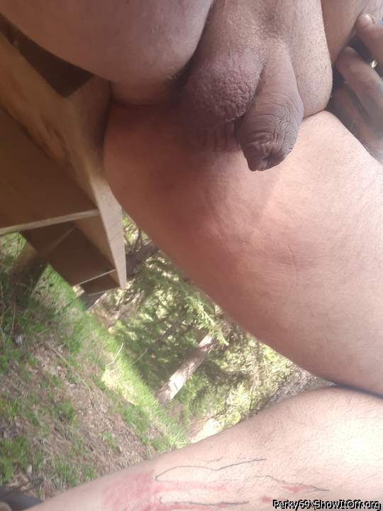 Photo of a stiffie from Perky69