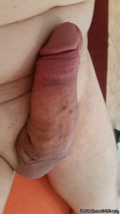 Photo of a tool from Pit66