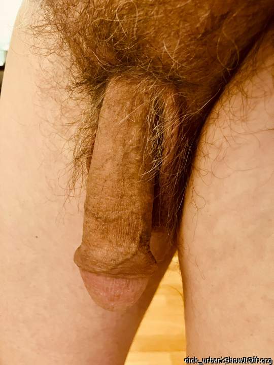 hairy dick