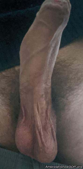 Photo of a dong from Ambrose