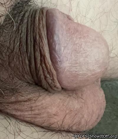 I want to suck your cock 