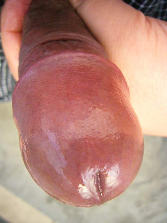 Photo of a joystick from vowowhouse