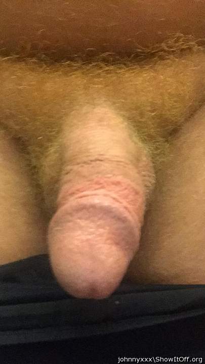 Photo of a stiffie from johnnyxxx