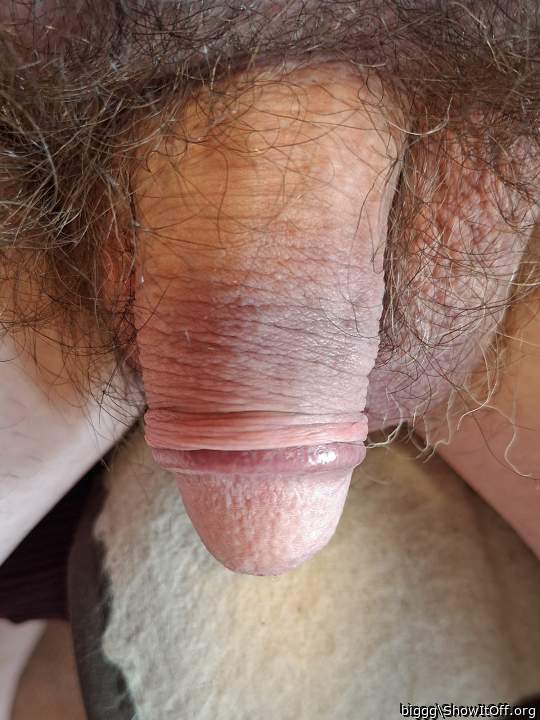 Photo of a sausage from biggg