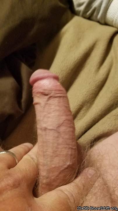 Photo of a rooster from 15x55