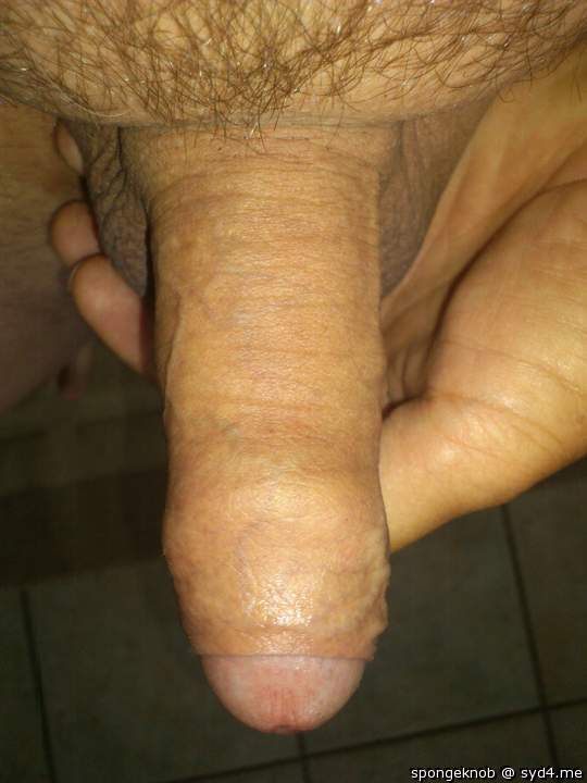 Photo of a snake from spongeknob
