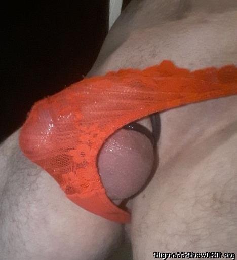 Photo of a cock from Stigma33