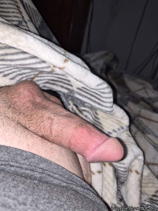 Photo of a weasel from Piggypie