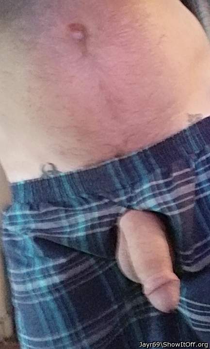 Photo of a bat from JayR69