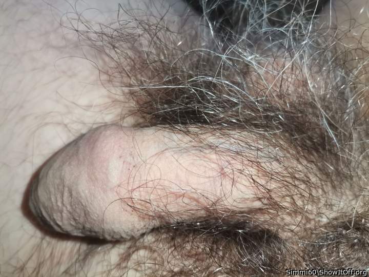 Photo of a tool from Simmi60
