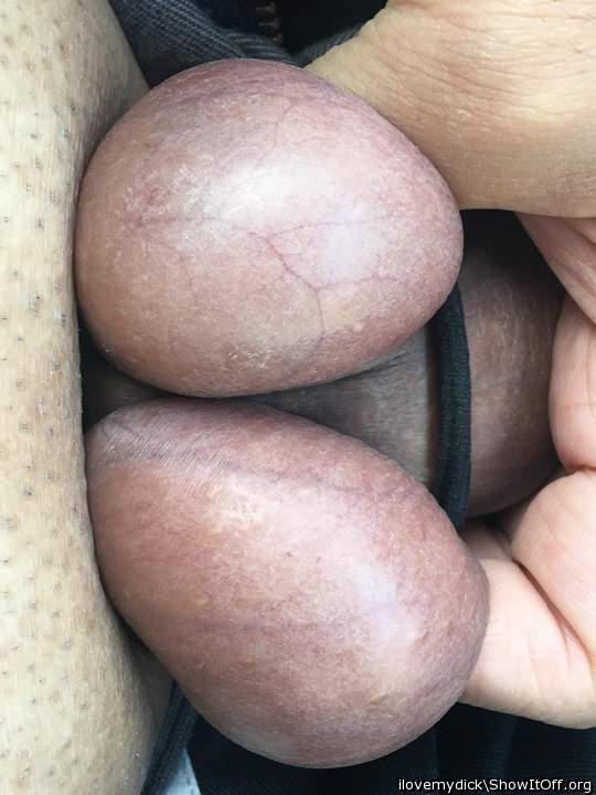 Testicles Photo from ilovemydick
