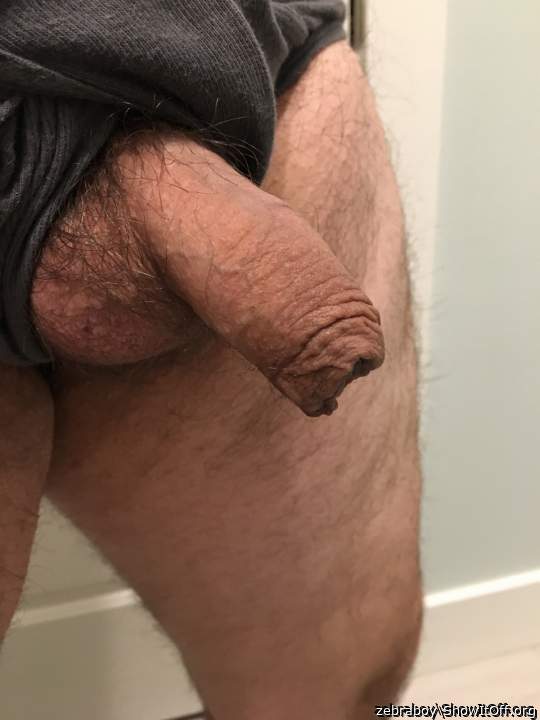 Photo of a snake from zebraboy