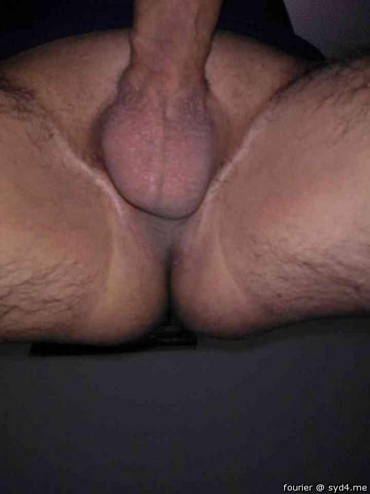 Testicles Photo from fourier