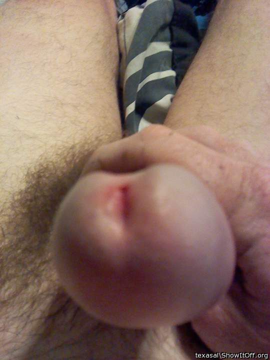 Photo of a horn from texasal