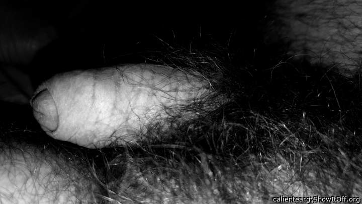 Photo of a cock from calientearg