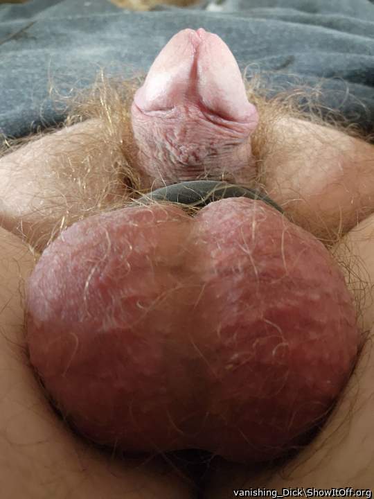 Testicles Photo from vanishing_Dick