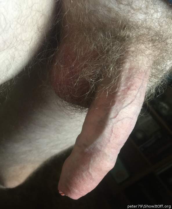 Photo of a drain pipe from peter79