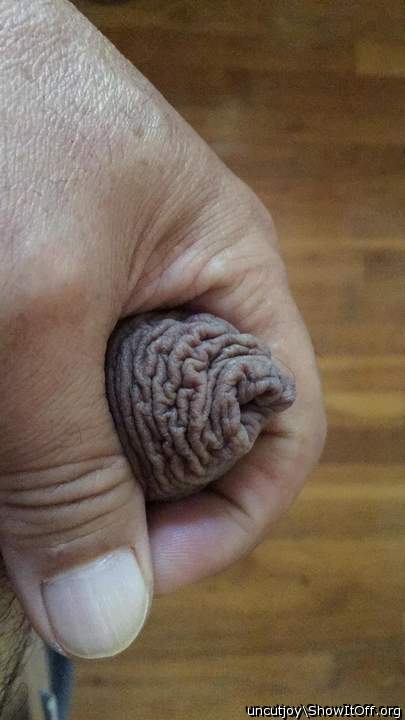 love this boyish penis 