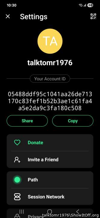 Chat via Session? It is very easy and private to set up.