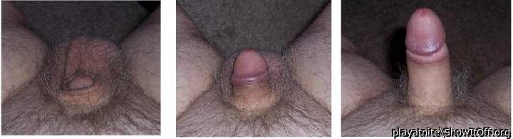erectasauras