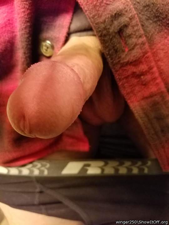 Photo of a weasel from winger250