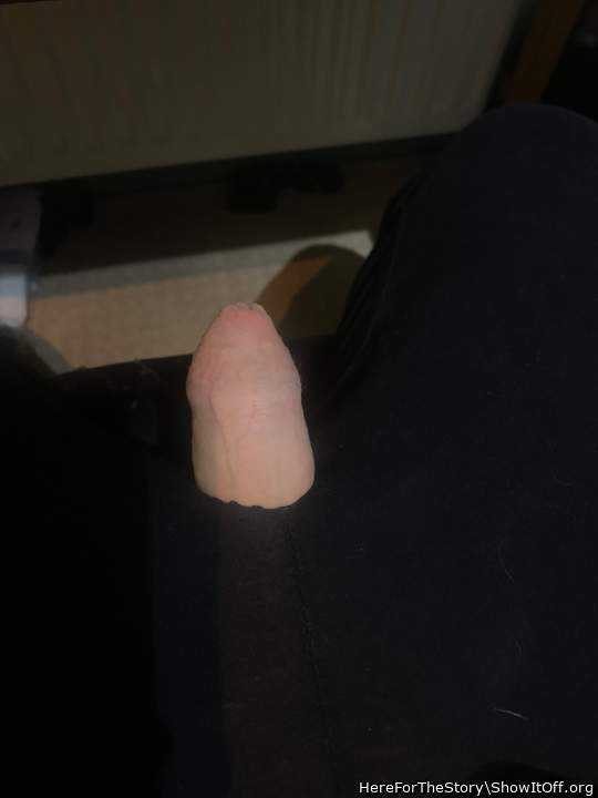 Photo of a dong from HereForTheStory