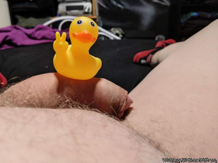 Under the peace duck