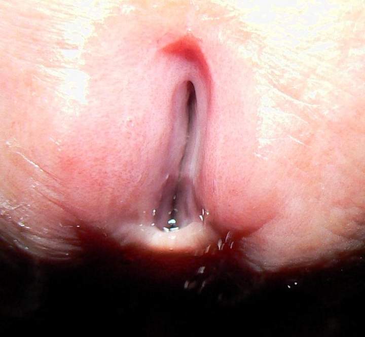 guess what it is!