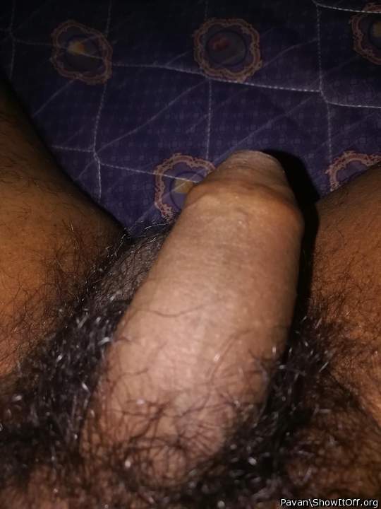 Photo of a python from pavan