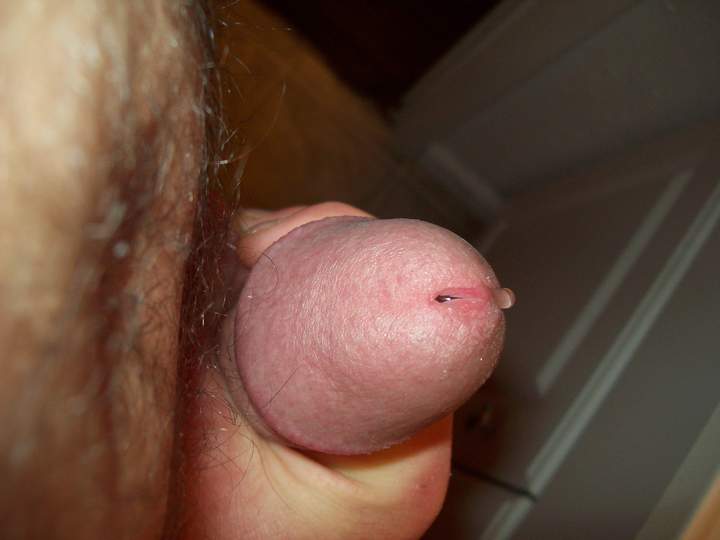 Photo of a bald-headed mouse from Hornyashell