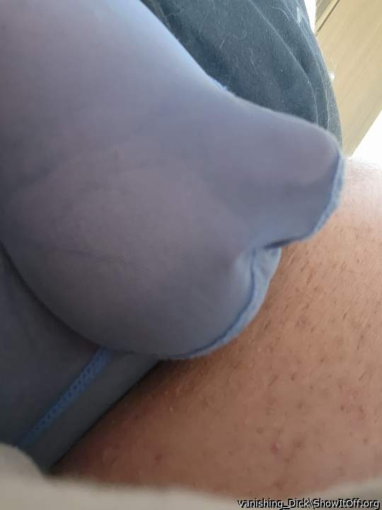 Photo of a schlong from vanishing_Dick