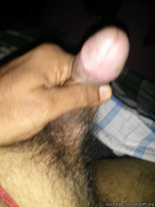 Photo of a equipment from pavan