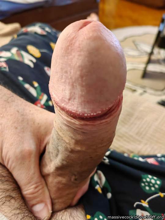 Photo of a hot dog from massivecock