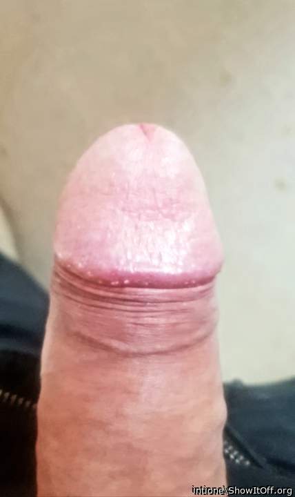 Photo of a wiener from intione