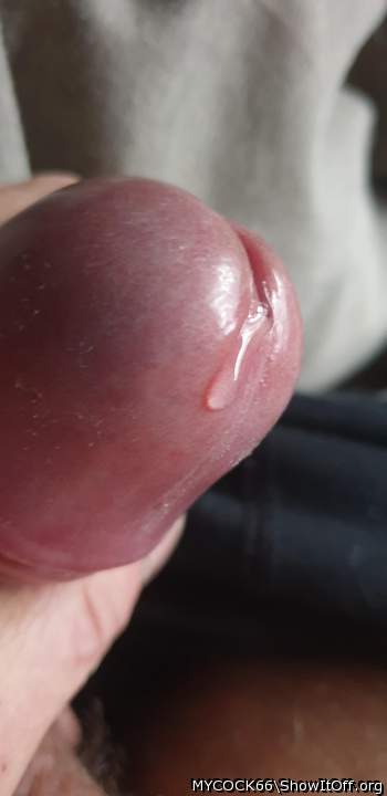 Photo of a dong from MYCOCK66
