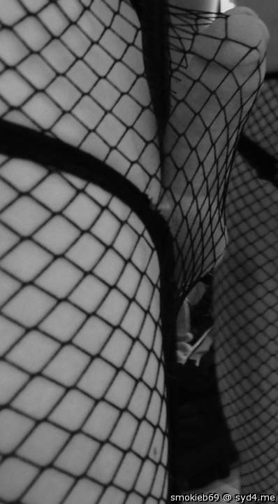 fishnets